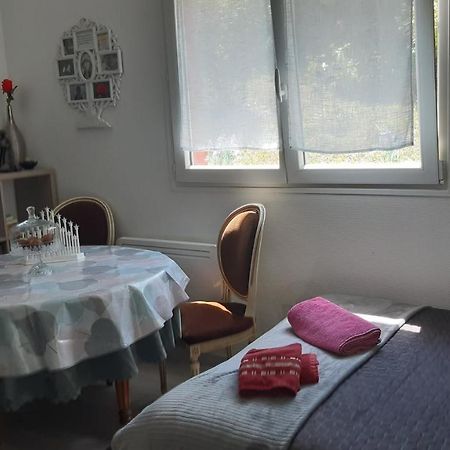 Ravissant studio dans un cadre agréable Soultz-Haut-Rhin Extérieur photo