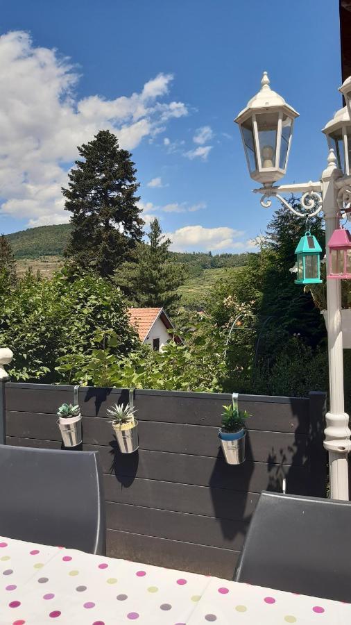 Ravissant studio dans un cadre agréable Soultz-Haut-Rhin Extérieur photo