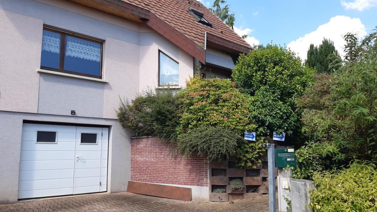 Ravissant studio dans un cadre agréable Soultz-Haut-Rhin Extérieur photo