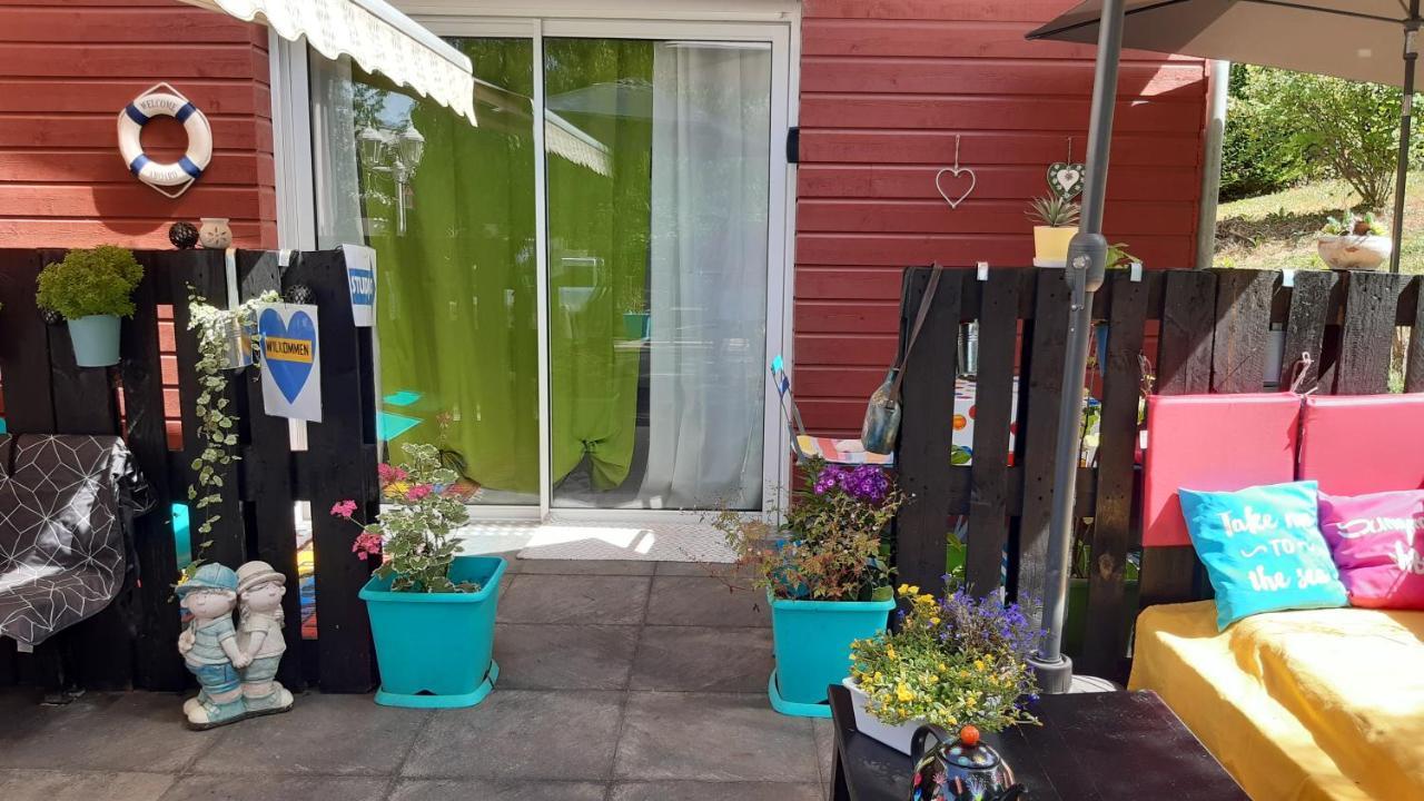 Ravissant studio dans un cadre agréable Soultz-Haut-Rhin Extérieur photo